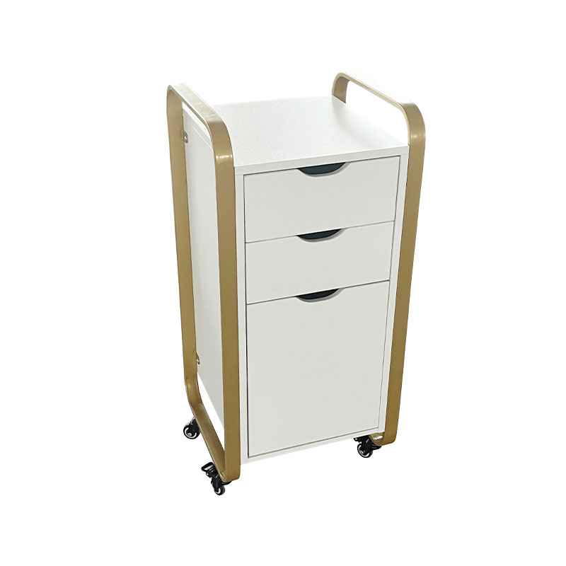 HZ2083BK / HZ2083 Gabinete de peluquería de peluquería de belleza negra con marco de metal dorado