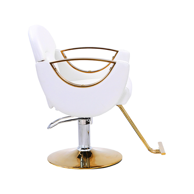 Silla de salón de estilo ligero HZ8765BZ / HZ8765WZ / HZ8765PZ / HZ8765Z