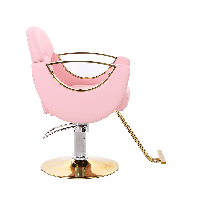 Silla de salón de estilo ligero HZ8765BZ / HZ8765WZ / HZ8765PZ / HZ8765Z