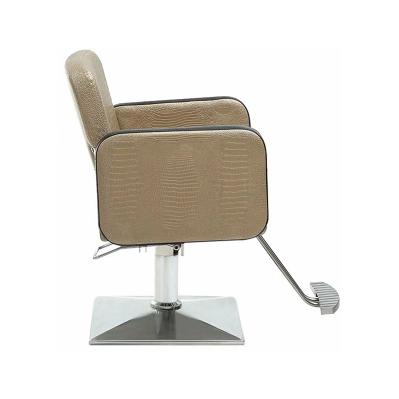 HZ88103 Silla de peinado profesional morada