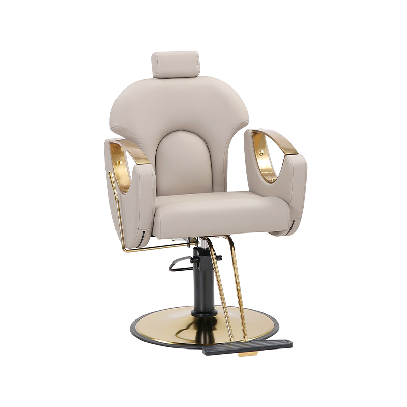 HZ8765BK / HZ8765H / HZ8765WG / HZ8765PK / HZ8765 Silla de salón, silla de peluquería reclinable