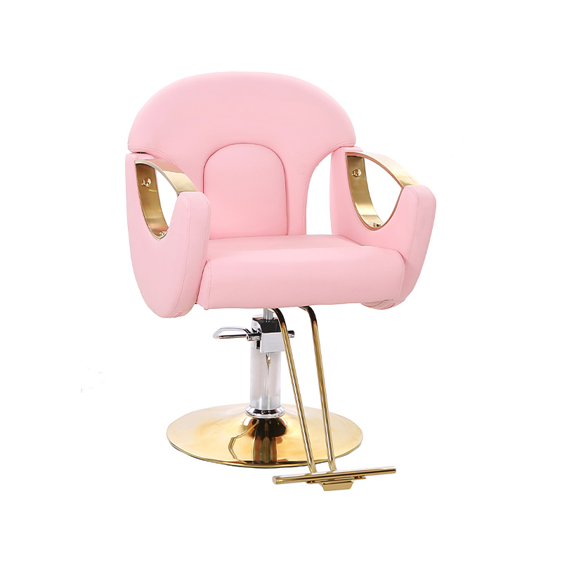 Silla de salón de estilo ligero HZ8765BZ / HZ8765WZ / HZ8765PZ / HZ8765Z