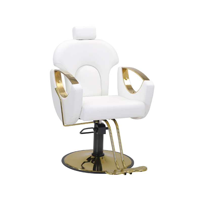HZ8765BK / HZ8765H / HZ8765WG / HZ8765PK / HZ8765 Silla de salón, silla de peluquería reclinable