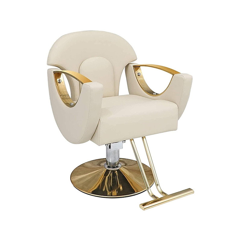 Silla de salón de estilo ligero HZ8765BZ / HZ8765WZ / HZ8765PZ / HZ8765Z