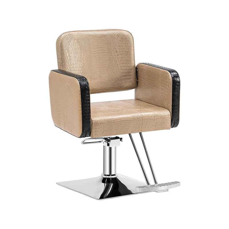 HZ88103 Silla de peinado profesional morada