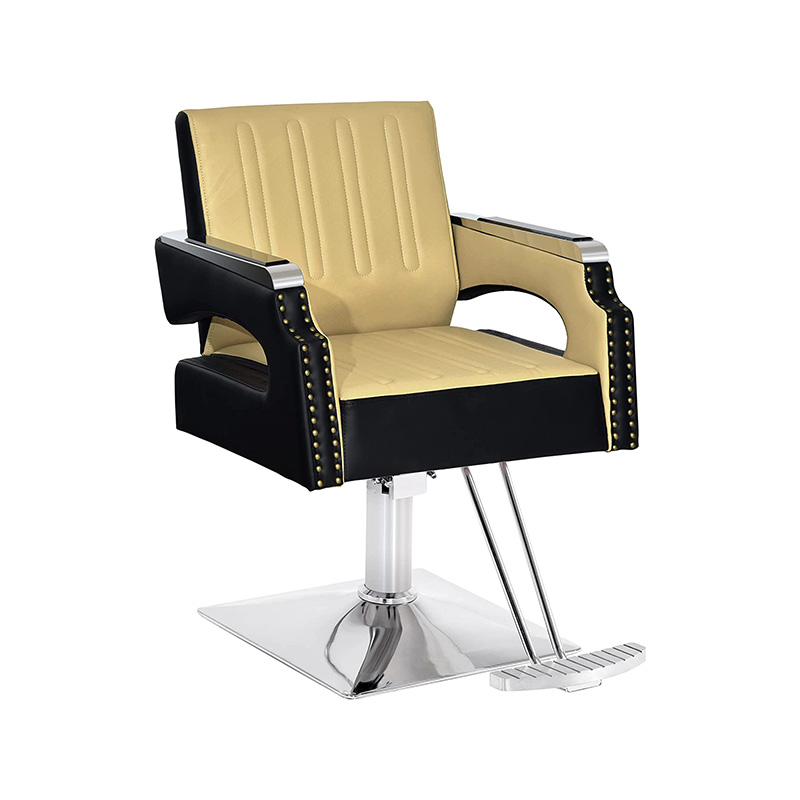 HZ88105 Silla de peluquería hidráulica clásica multiusos