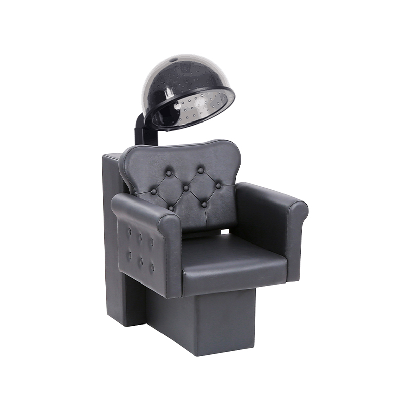 HZ9042 Combinación profesional de secador de pelo y silla de salón