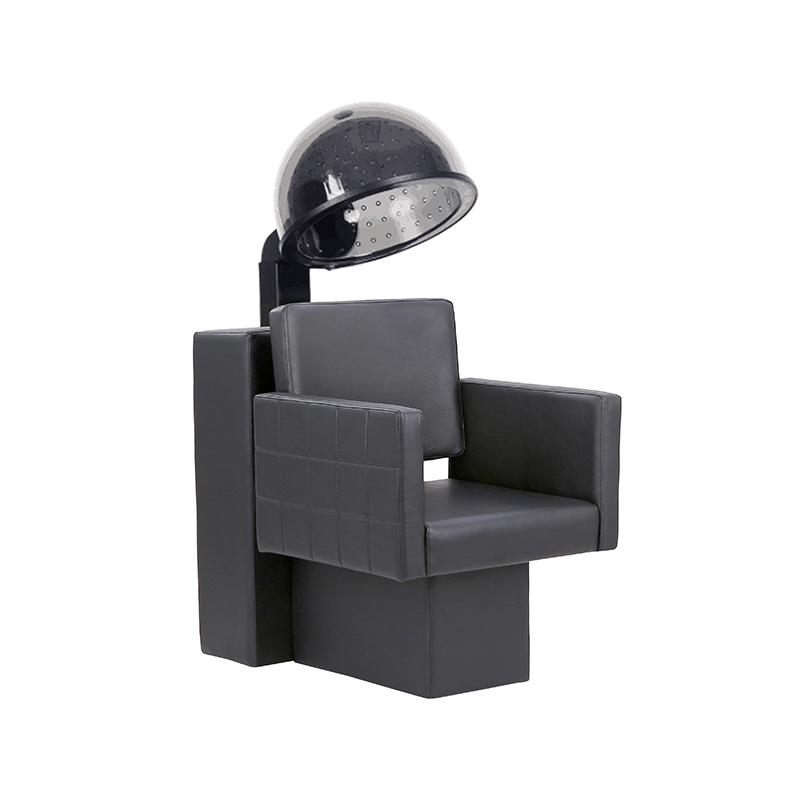HZ9045 Combinación de secadora de salón y silla